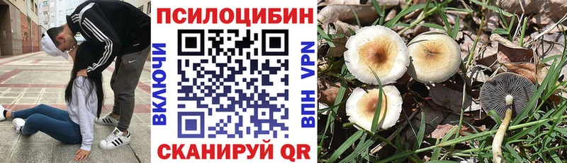 цены   Каргополь  Галлюциногенные грибы прущие грибы 