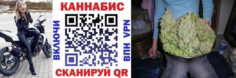 мега ссылка  Каргополь  Конопля Amnesia 